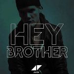 Avicii -Hey-brother